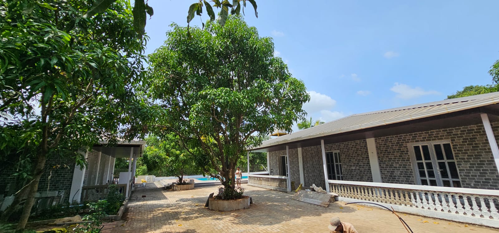 Forest Edge villa courtyard with mango trees and a glimpse of the pool